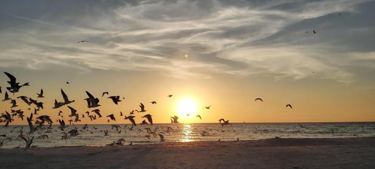 Sunset Vistas 211N St. Pete Beach Exterior foto